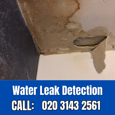Expert Water Leak Detection Services in Totteridge | Totteridge Leak Detection